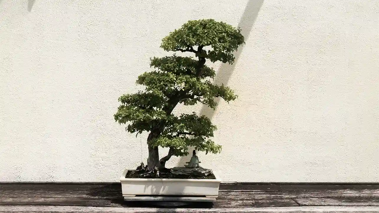 Minimalist Style, Maximum Impact
