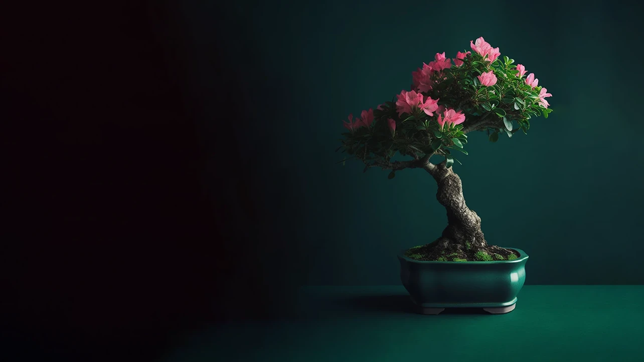 Color Burst the Flowering Bonsai